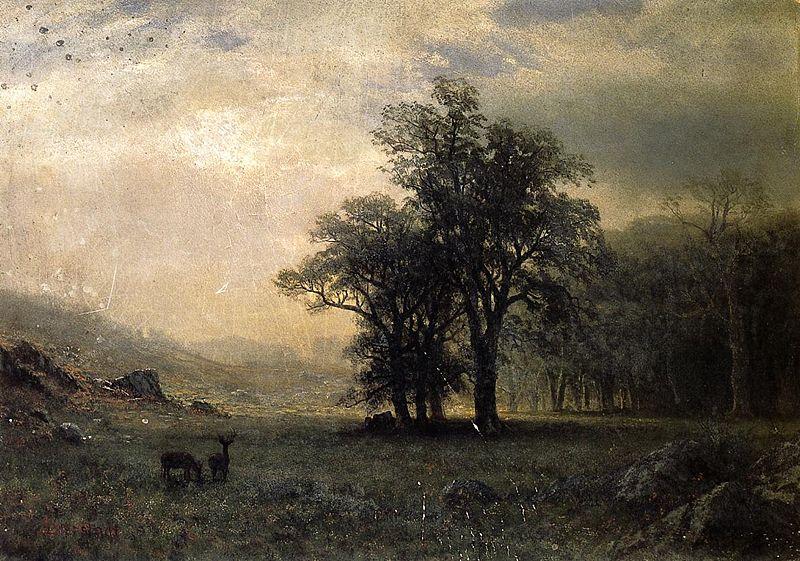 Albert Bierstadt The Open Glen, New England oil painting image